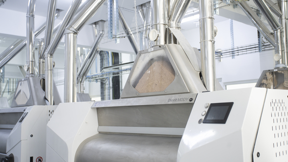 Ayla Rollermill